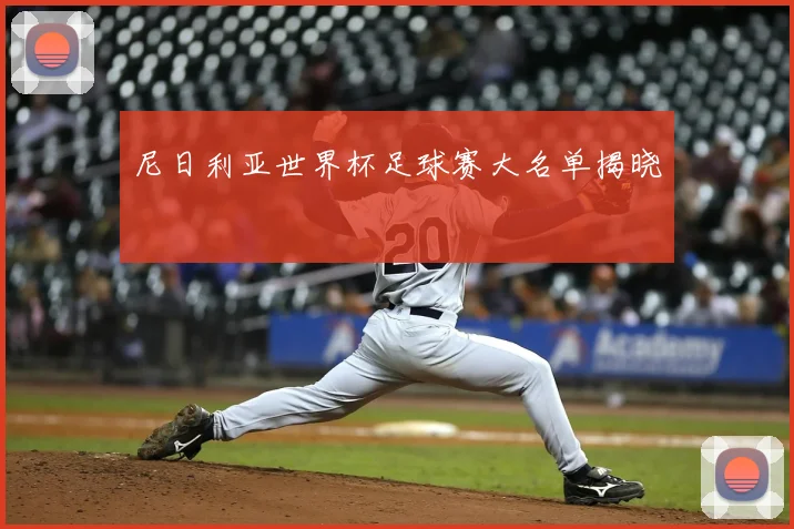 尼日利亚世界杯足球赛大名单揭晓