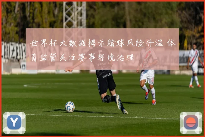 世界杯大数据揭示赌球风险升温 体育监管关注赛事环境治理